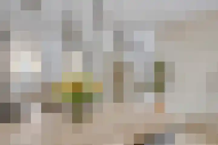 Onder de molen 22 's-Gravendeel thumbnail 15