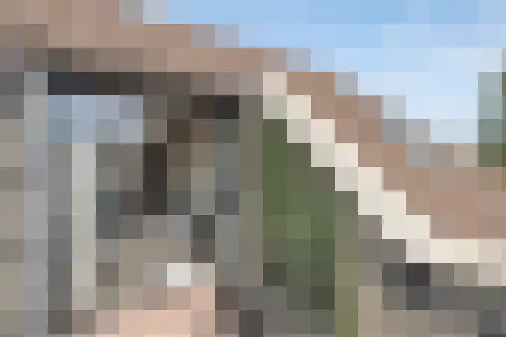 Onder de molen 22 's-Gravendeel thumbnail 18