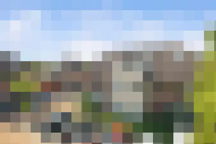 Onder de molen 22 's-Gravendeel thumbnail 5