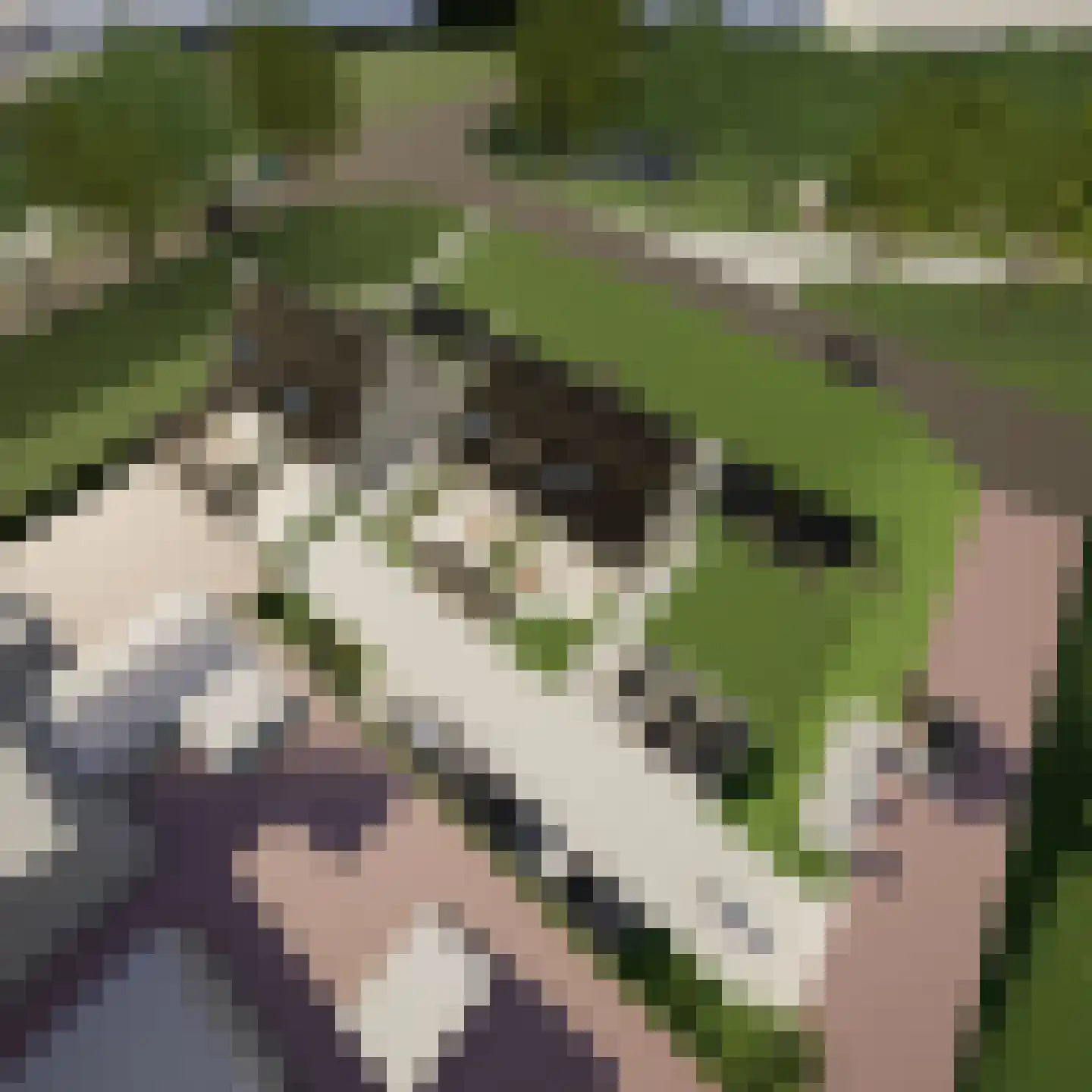 Onder de molen 4 's-Gravendeel thumbnail 4