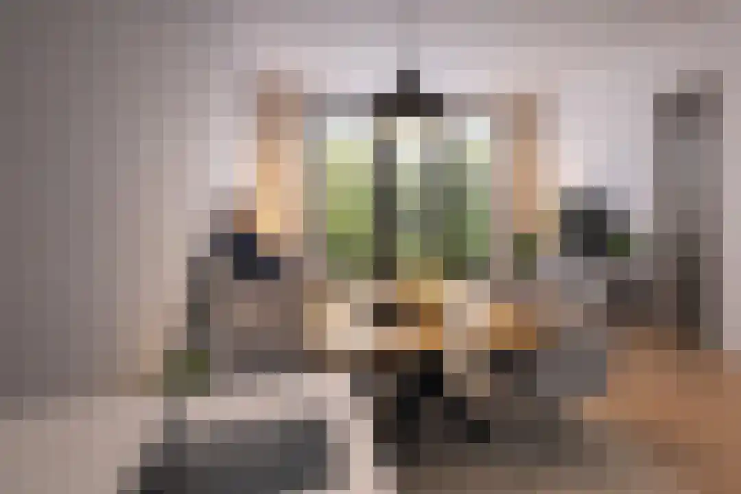 Onder de molen 4 's-Gravendeel thumbnail 5