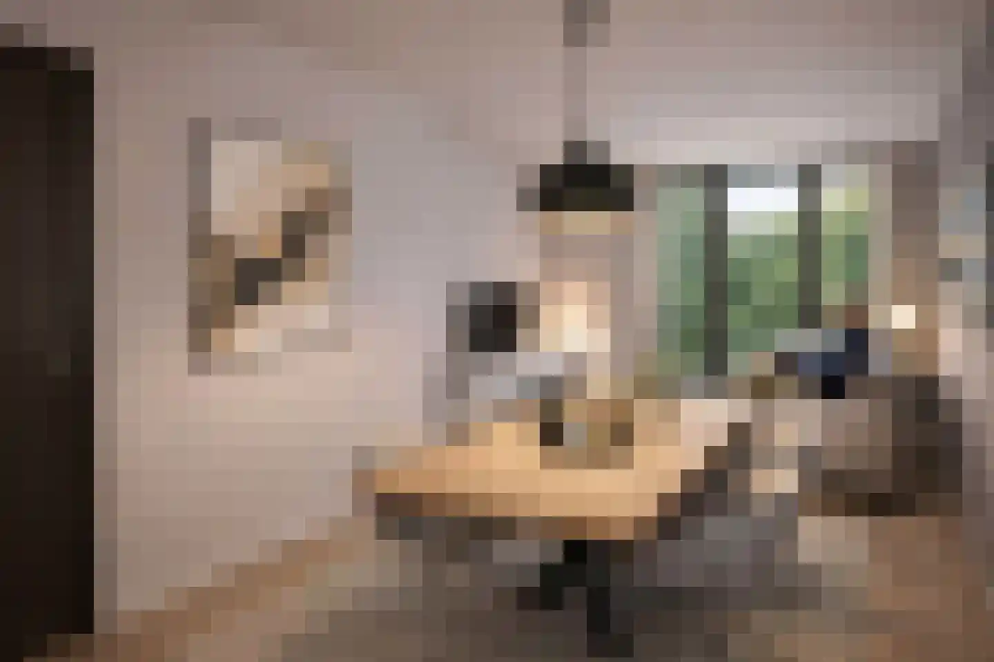Onder de molen 4 's-Gravendeel thumbnail 6