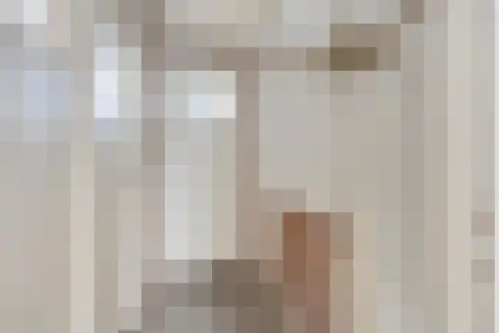 Onder de Schutsboom 12 Etten-Leur thumbnail 13