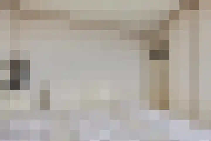 Onder de Schutsboom 12 Etten-Leur thumbnail 16