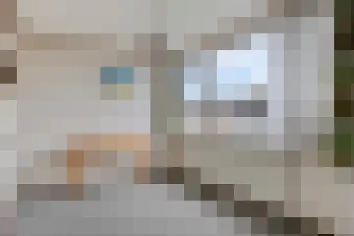 Onder de Schutsboom 12 Etten-Leur thumbnail 17