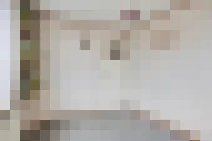 Onder de Schutsboom 12 Etten-Leur thumbnail 18