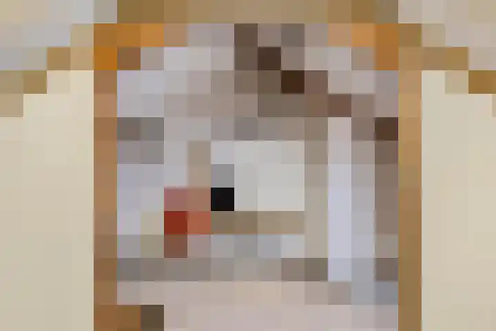 Onder de Schutsboom 12 Etten-Leur thumbnail 21