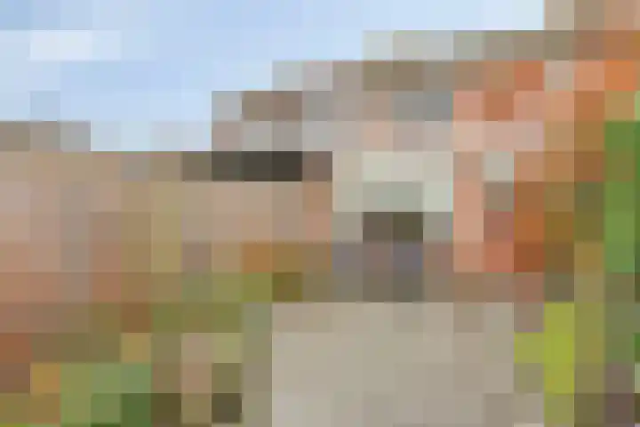 Onder de Schutsboom 12 Etten-Leur thumbnail 22