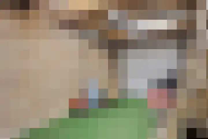 Onder de Schutsboom 12 Etten-Leur thumbnail 28