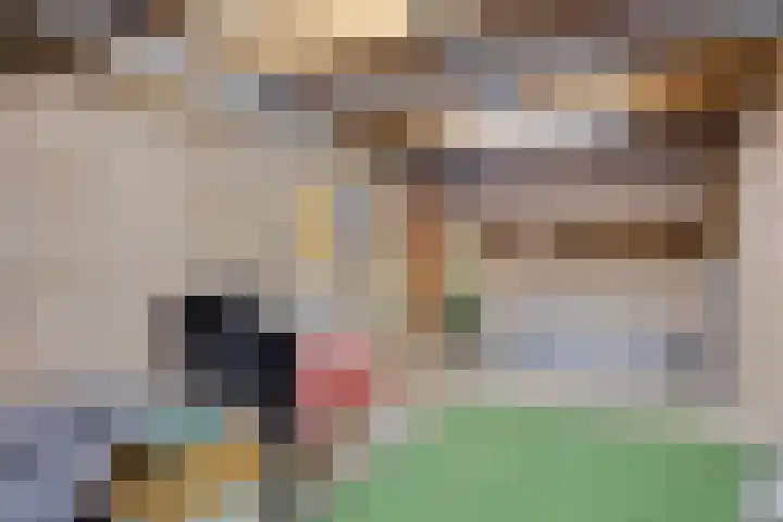 Onder de Schutsboom 12 Etten-Leur thumbnail 29