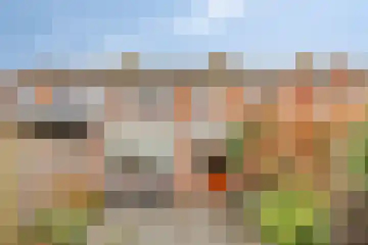 Onder de Schutsboom 12 Etten-Leur foto 3