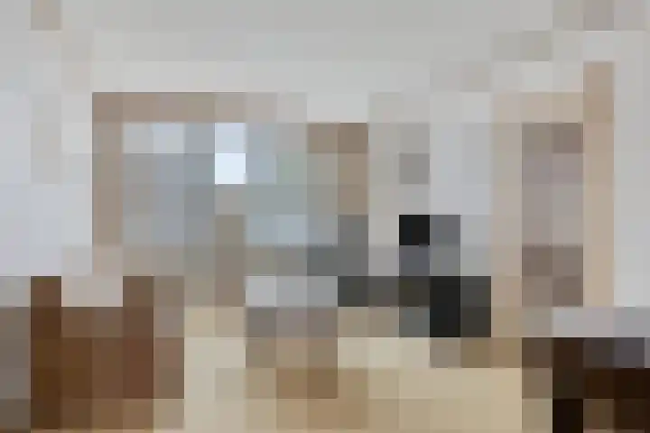 Onder de Schutsboom 12 Etten-Leur thumbnail 4