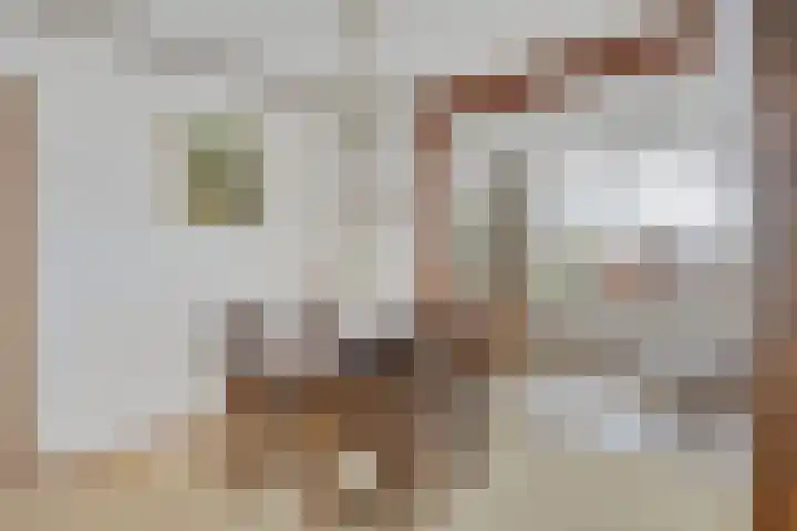 Onder de Schutsboom 12 Etten-Leur thumbnail 7