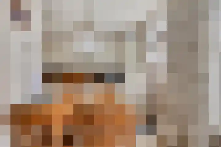 Onder de Schutsboom 12 Etten-Leur thumbnail 9