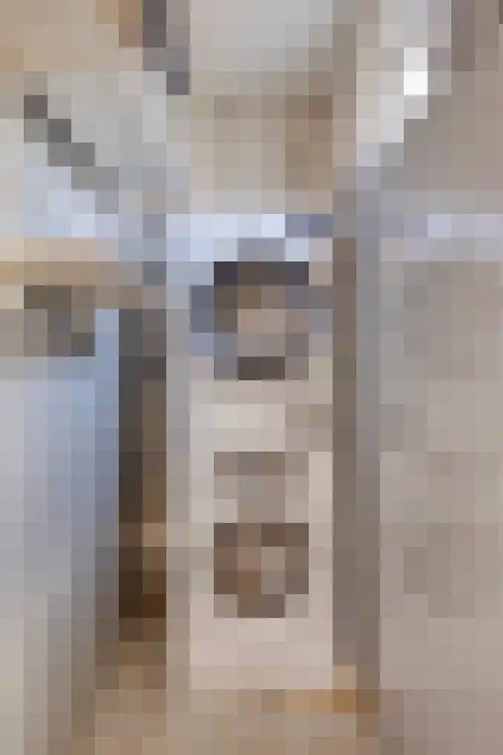 Onder de Waal 33 Krimpen aan de Lek thumbnail 10