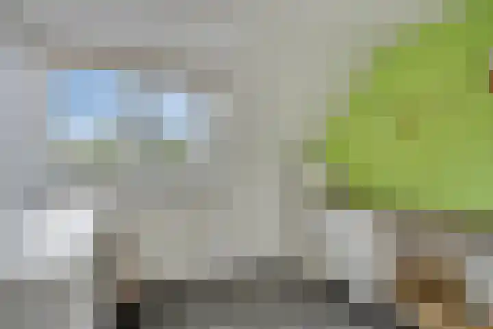 Onder de Waal 33 Krimpen aan de Lek thumbnail 16
