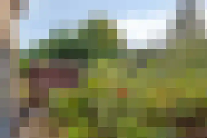 Onder de Waal 33 Krimpen aan de Lek thumbnail 17