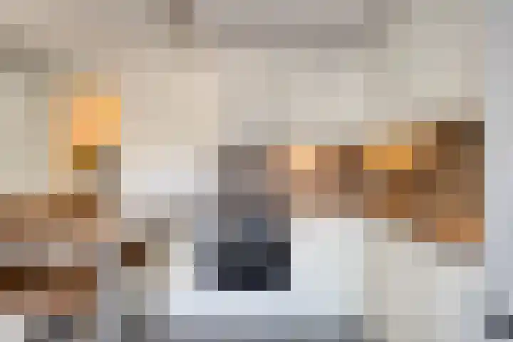 Onder de Waal 33 Krimpen aan de Lek thumbnail 8