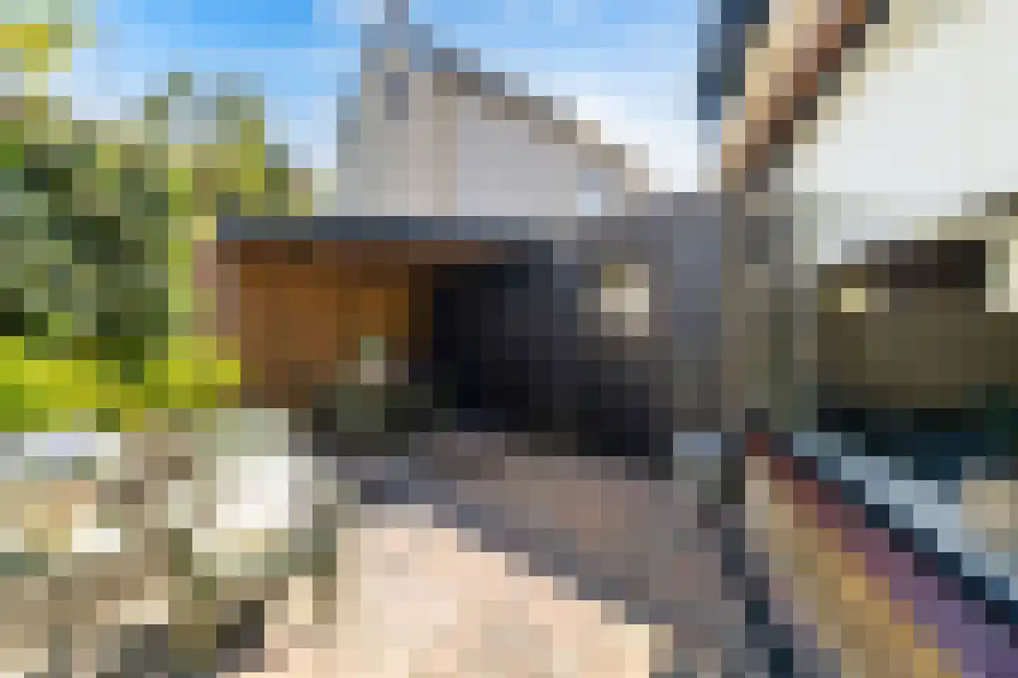 Onder de Waal 69 Krimpen aan de Lek thumbnail 11