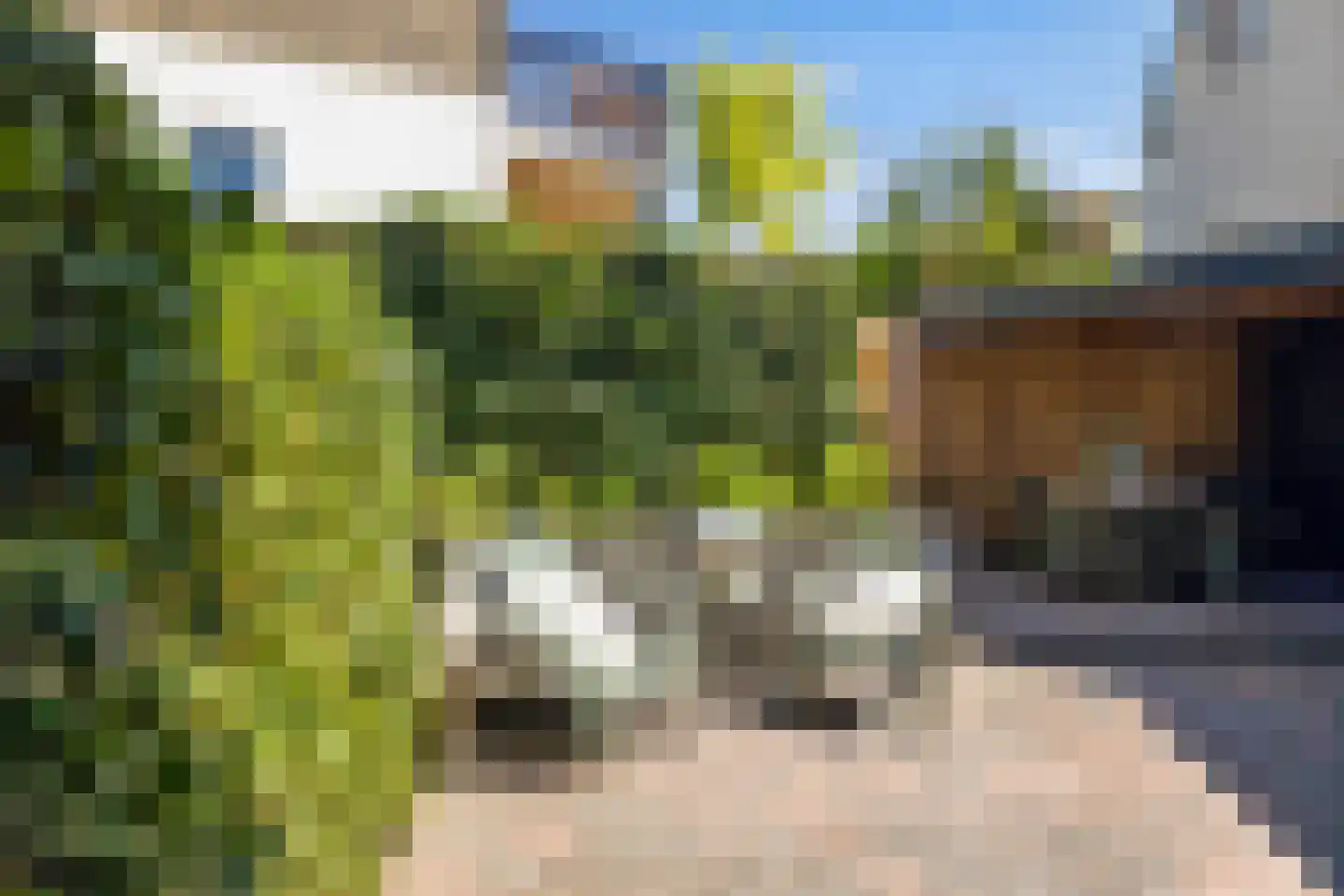 Onder de Waal 69 Krimpen aan de Lek thumbnail 12