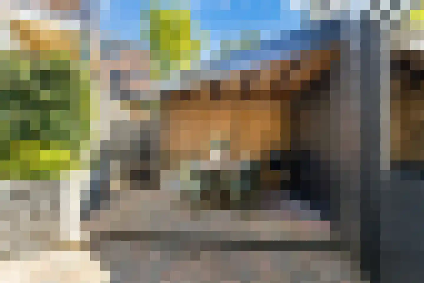 Onder de Waal 69 Krimpen aan de Lek thumbnail 13