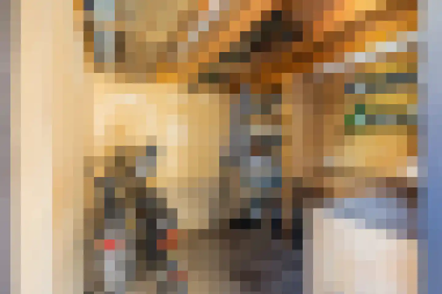 Onder de Waal 69 Krimpen aan de Lek thumbnail 14