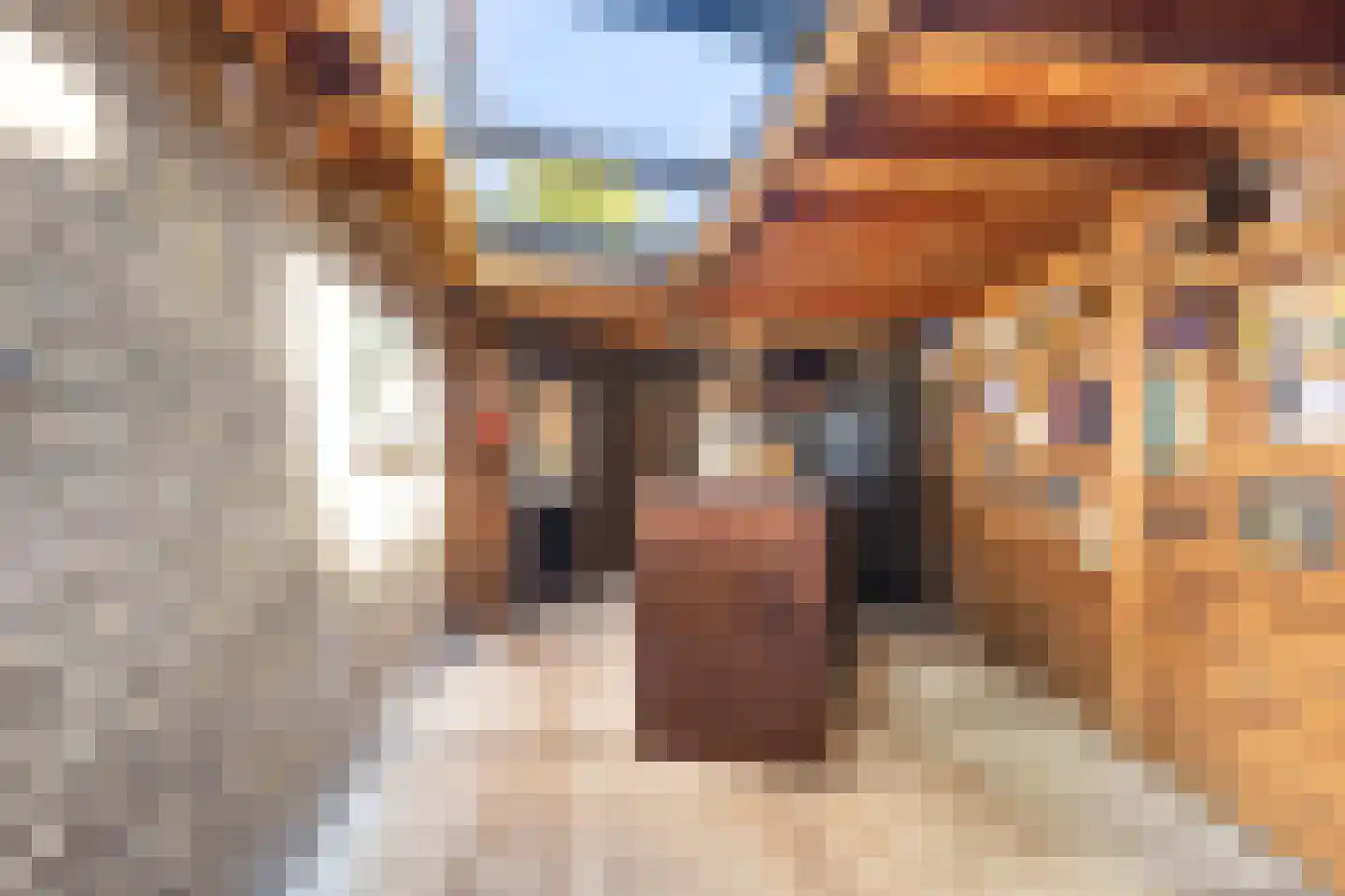 Onder de Waal 69 Krimpen aan de Lek thumbnail 15