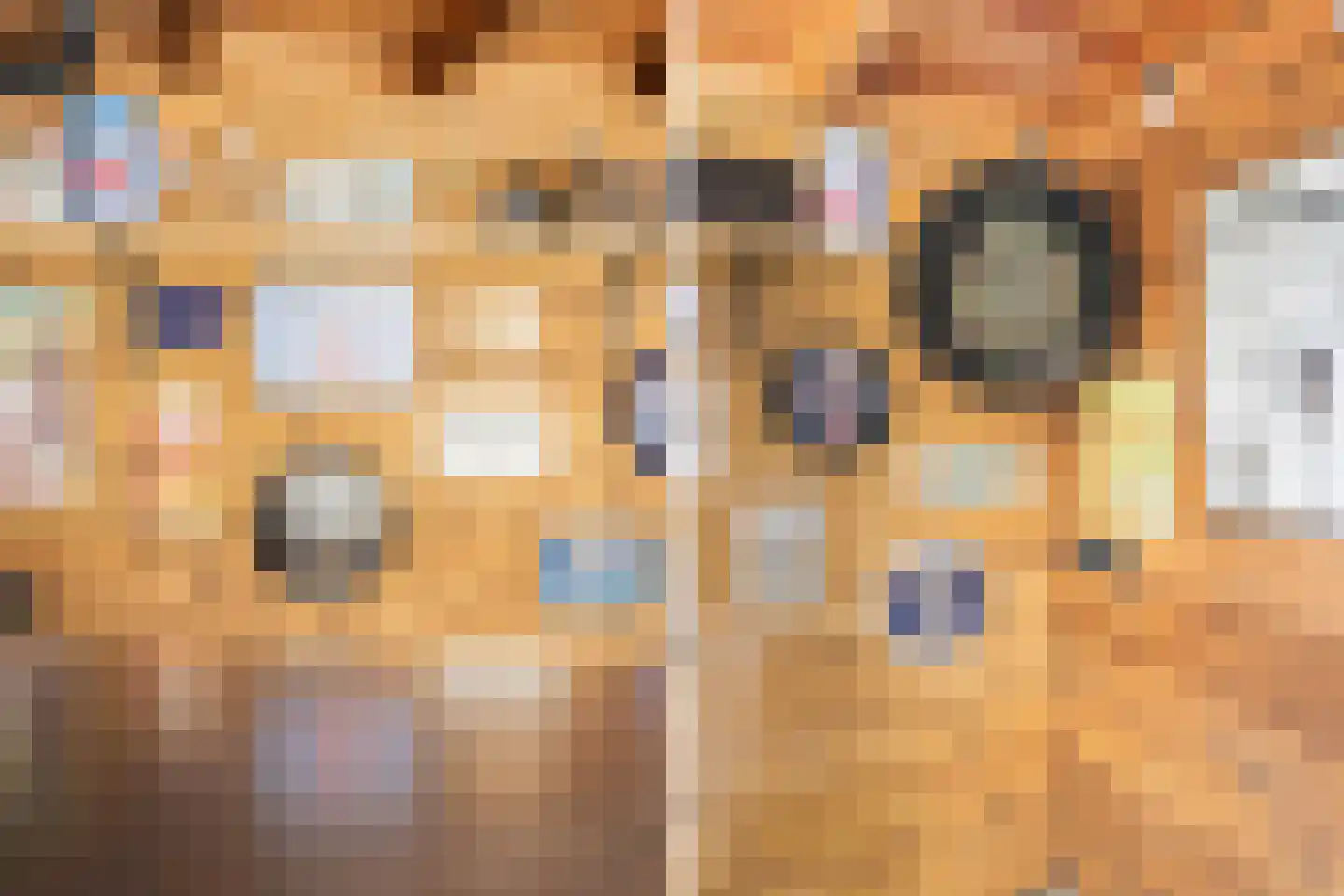 Onder de Waal 69 Krimpen aan de Lek thumbnail 16