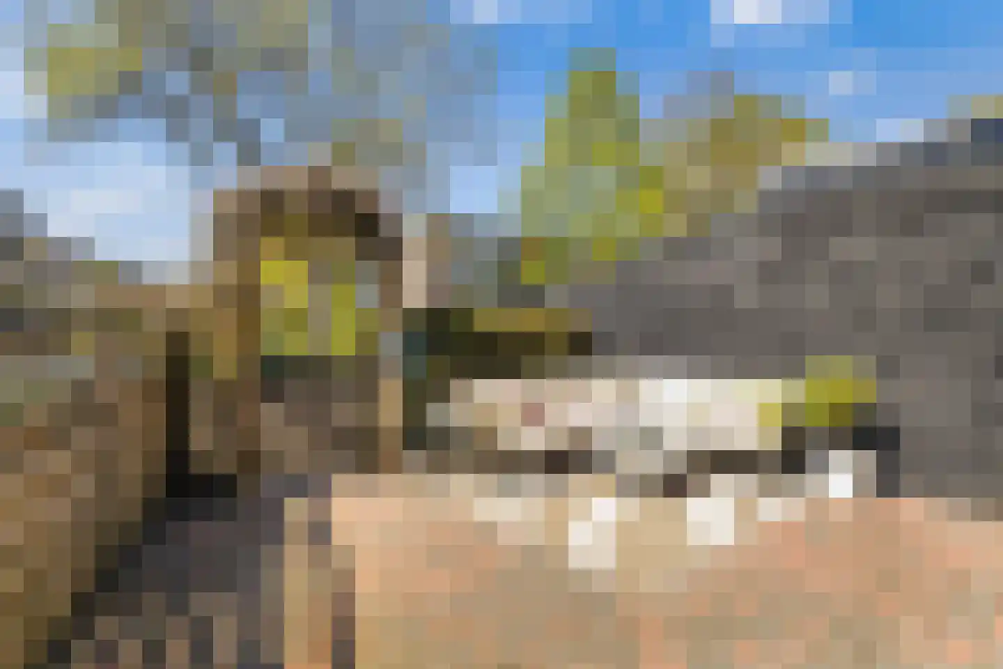 Onder de Waal 69 Krimpen aan de Lek foto 2