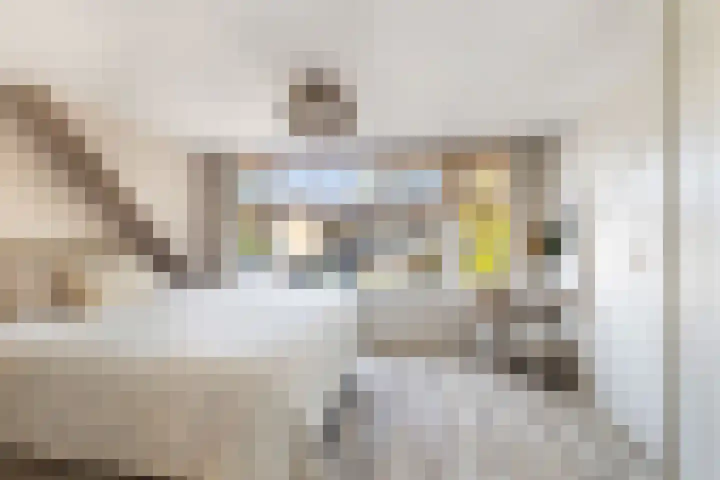 Onder de Waal 69 Krimpen aan de Lek thumbnail 26