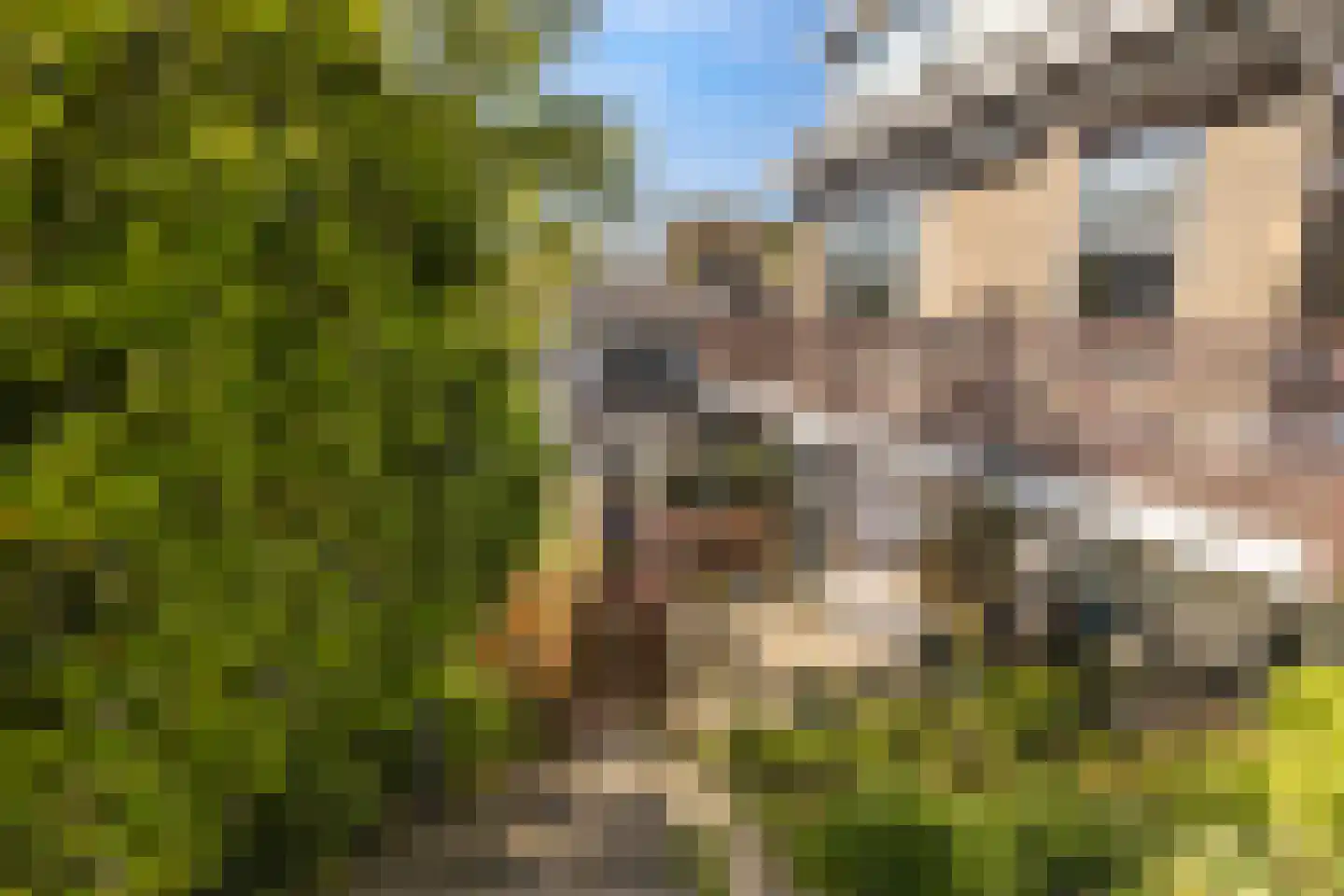 Onder de Waal 69 Krimpen aan de Lek thumbnail 33