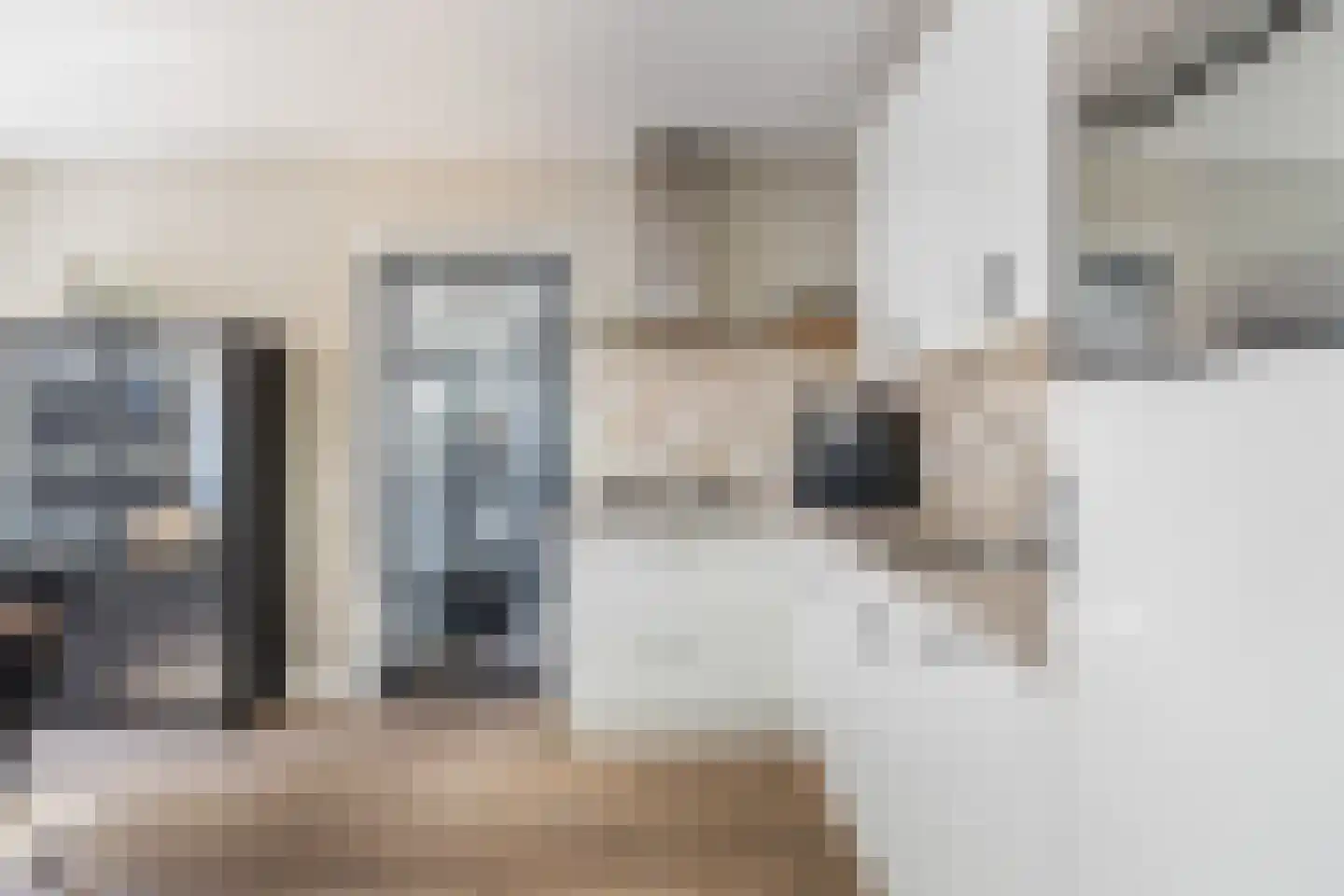 Onder de Waal 69 Krimpen aan de Lek thumbnail 8
