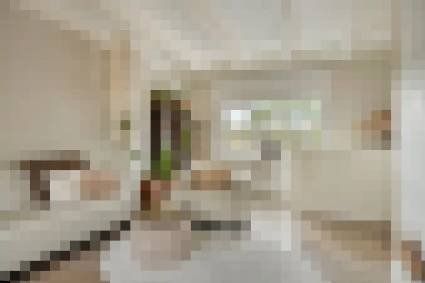Onder de Waal 77 Krimpen aan de Lek thumbnail 10