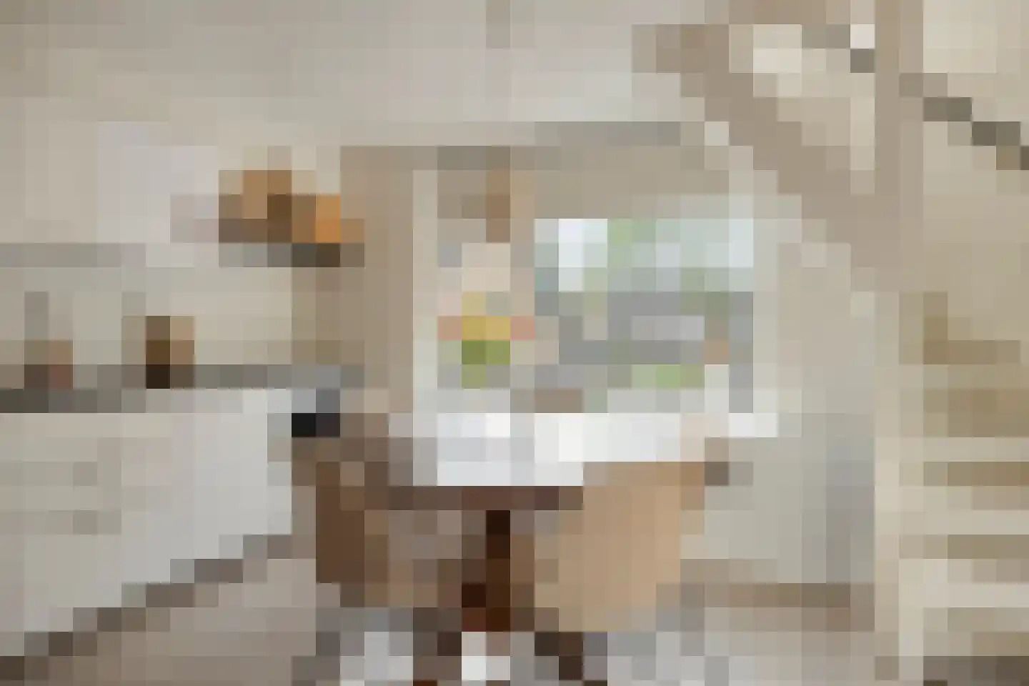 Onder de Waal 77 Krimpen aan de Lek thumbnail 12