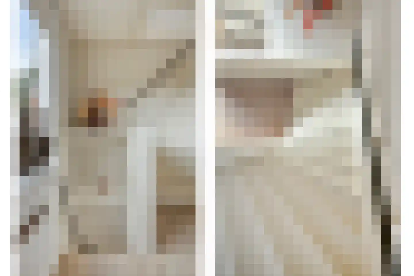 Onder de Waal 77 Krimpen aan de Lek thumbnail 16