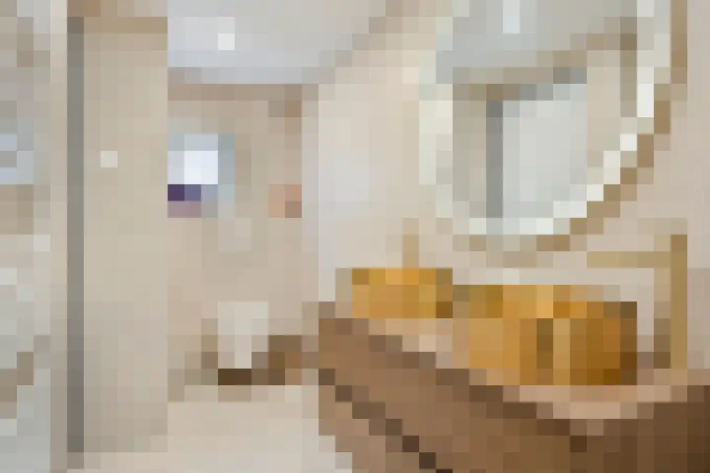 Onder de Waal 77 Krimpen aan de Lek thumbnail 17