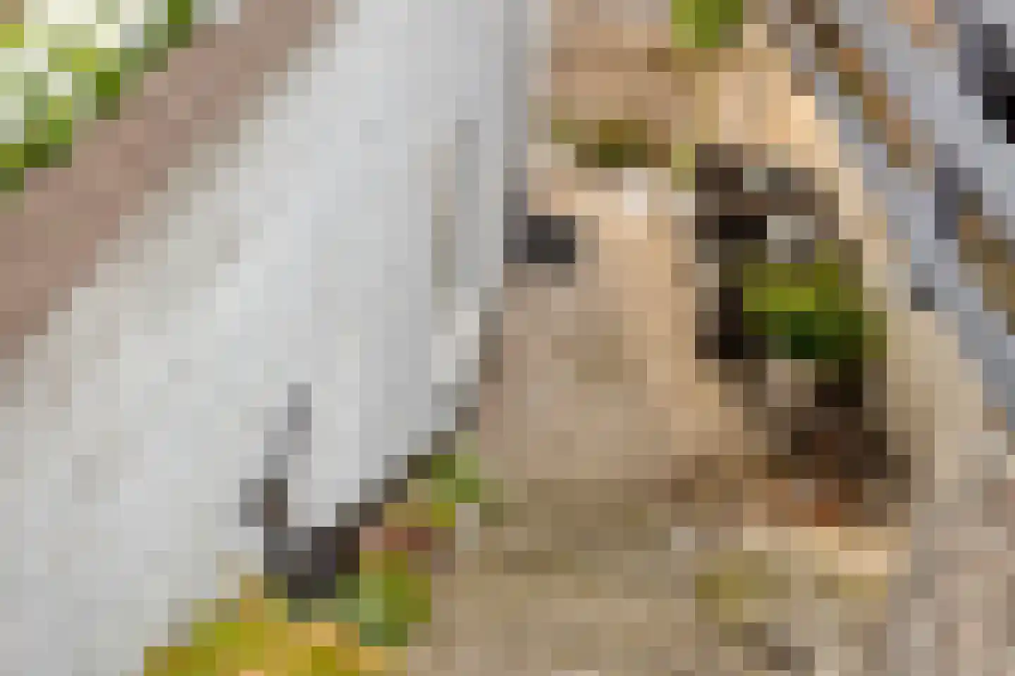 Onder de Waal 77 Krimpen aan de Lek thumbnail 23