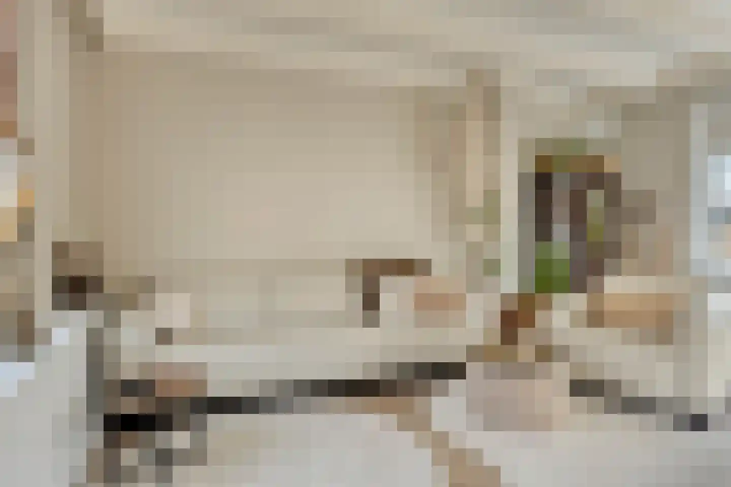 Onder de Waal 77 Krimpen aan de Lek thumbnail 4