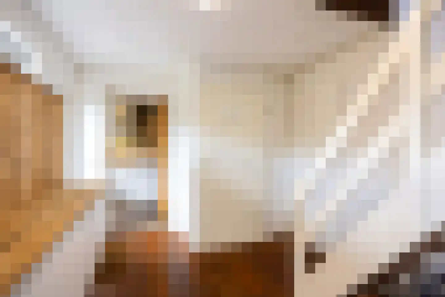 Onder de Wieken 3 Adorp thumbnail 20