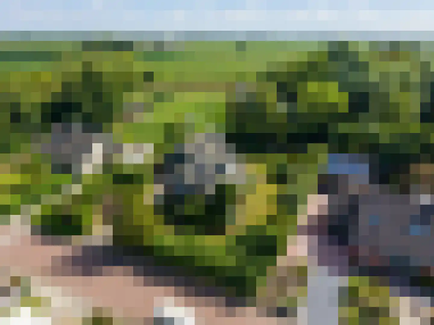 Onder de Wieken 3 Adorp foto 3
