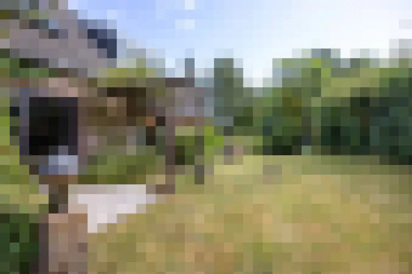 Onder de Wieken 3 Adorp thumbnail 33