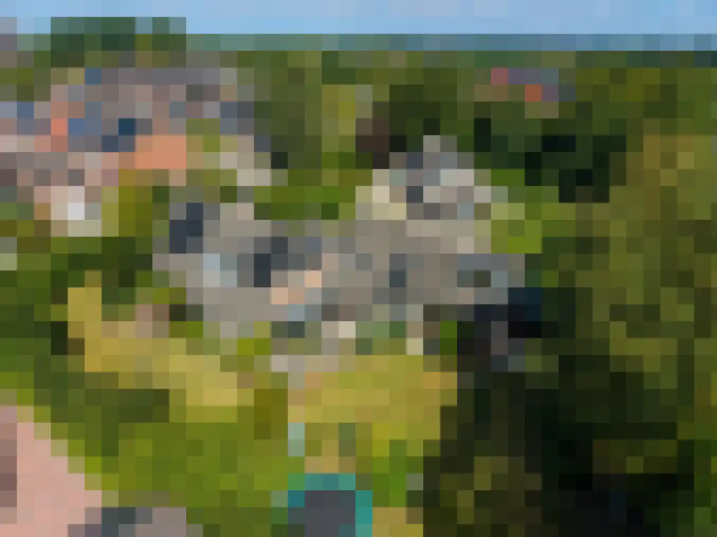 Onder de Wieken 3 Adorp thumbnail 4