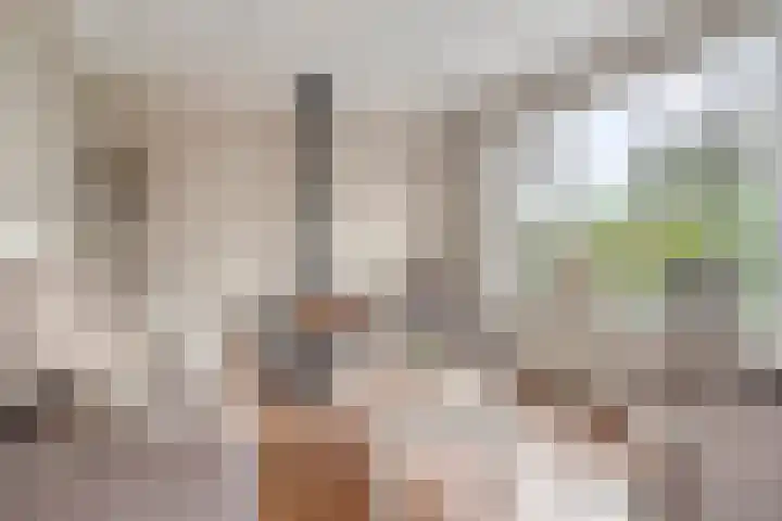Onder de Zeedijk 10 Poortvliet thumbnail 11