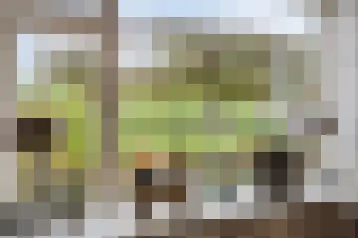 Onder de Zeedijk 10 Poortvliet thumbnail 12