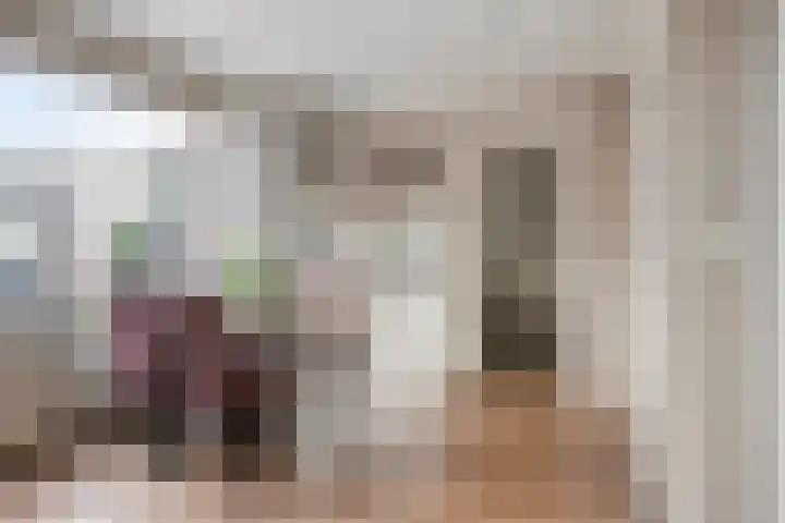 Onder de Zeedijk 10 Poortvliet thumbnail 16