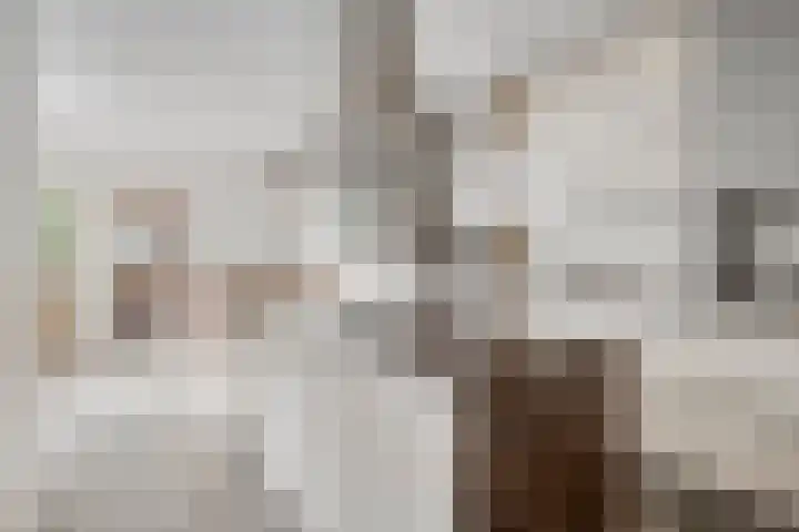 Onder de Zeedijk 10 Poortvliet thumbnail 18
