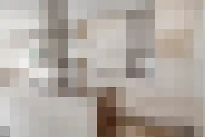 Onder de Zeedijk 10 Poortvliet thumbnail 19