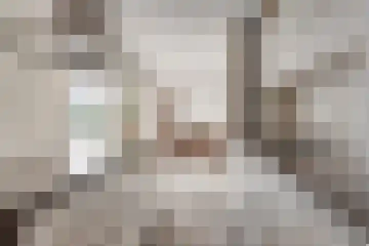 Onder de Zeedijk 10 Poortvliet thumbnail 22