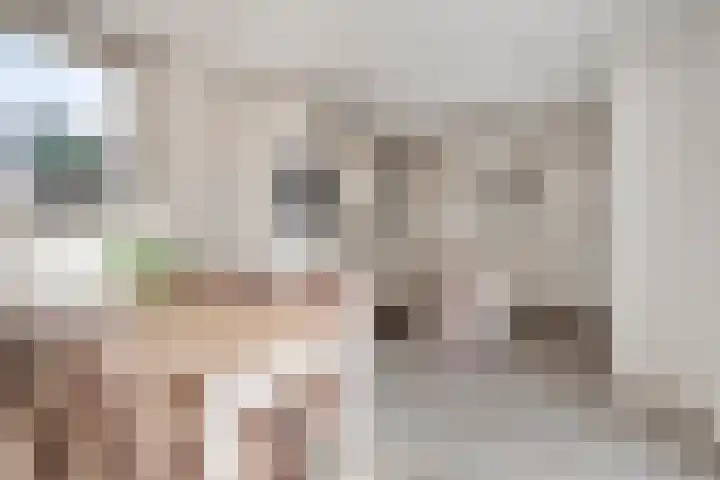 Onder de Zeedijk 10 Poortvliet thumbnail 23