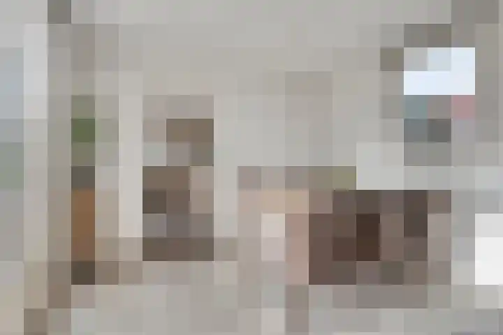 Onder de Zeedijk 10 Poortvliet thumbnail 24